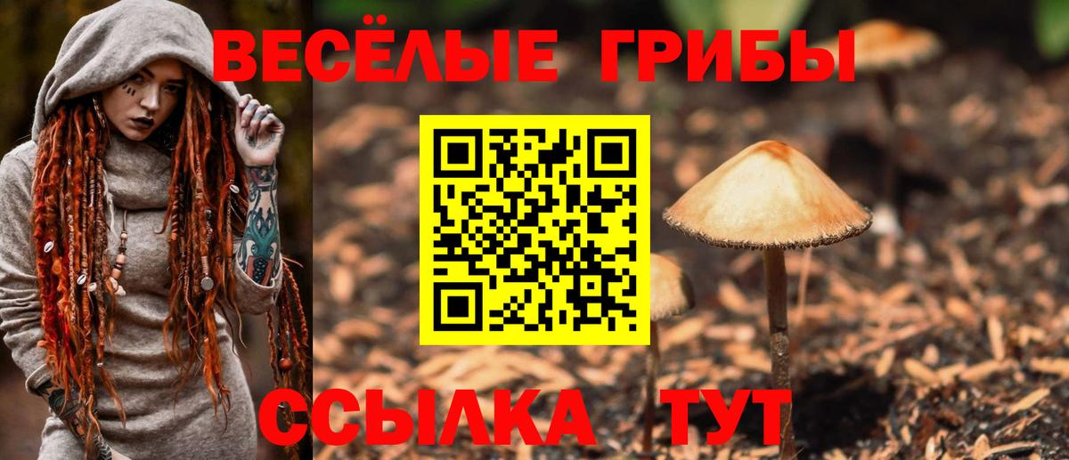 Алексин  Псилоцибиновые грибы Magic Shrooms  Галлюциногенные грибы Cubensis  Вход с VPN 