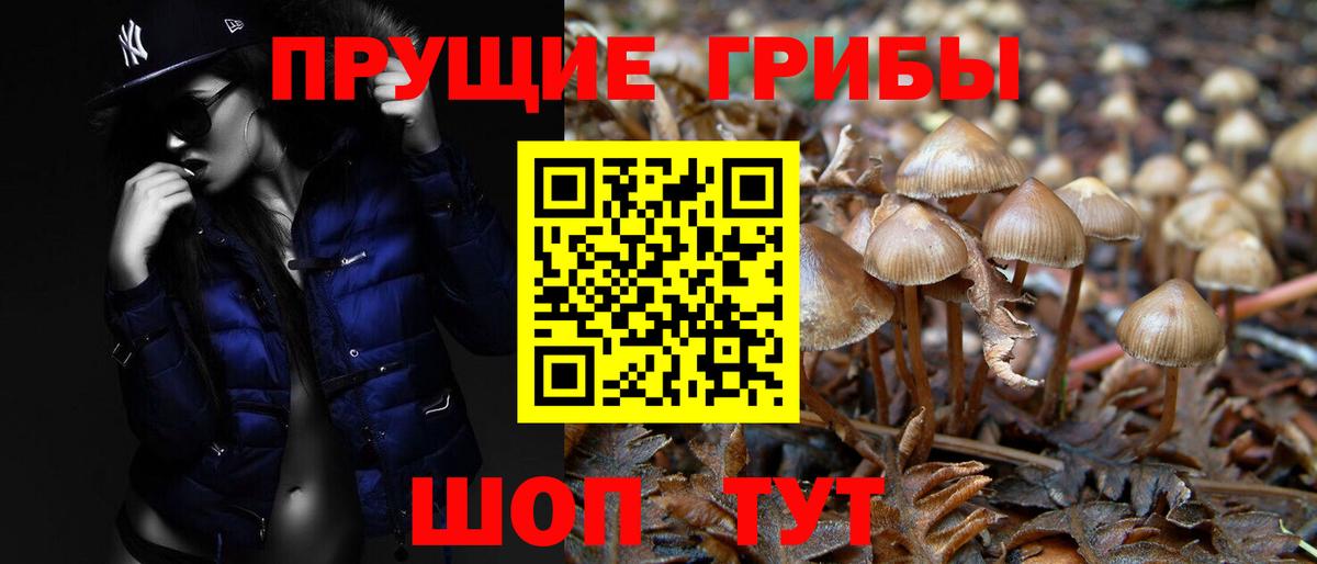 Псилоцибиновые грибы мухоморы Алексин